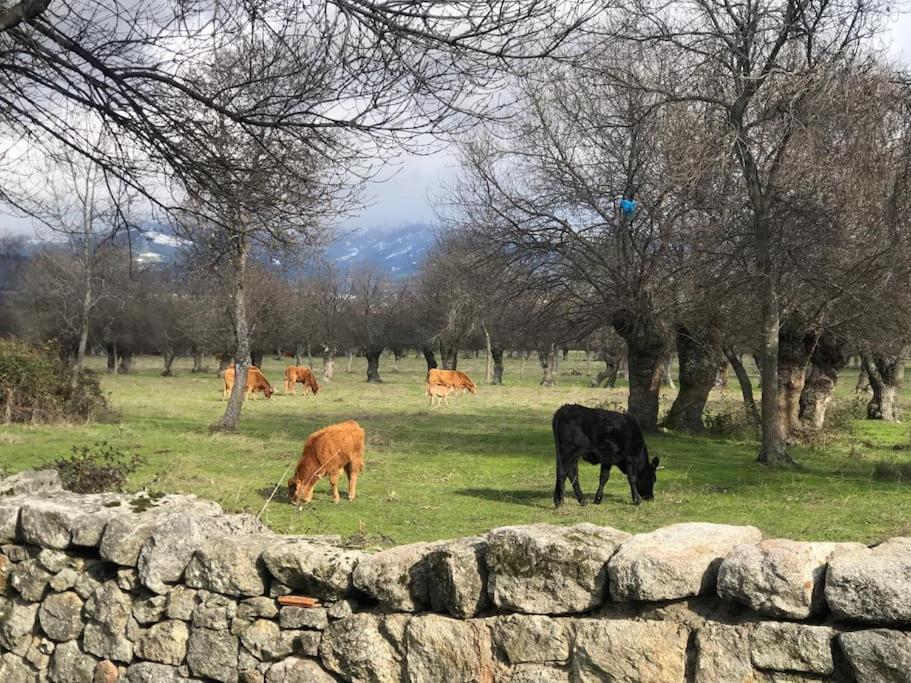 Appartamento Guadarrama, Atico Nuevo Con Espectaculares Vistas Esterno foto